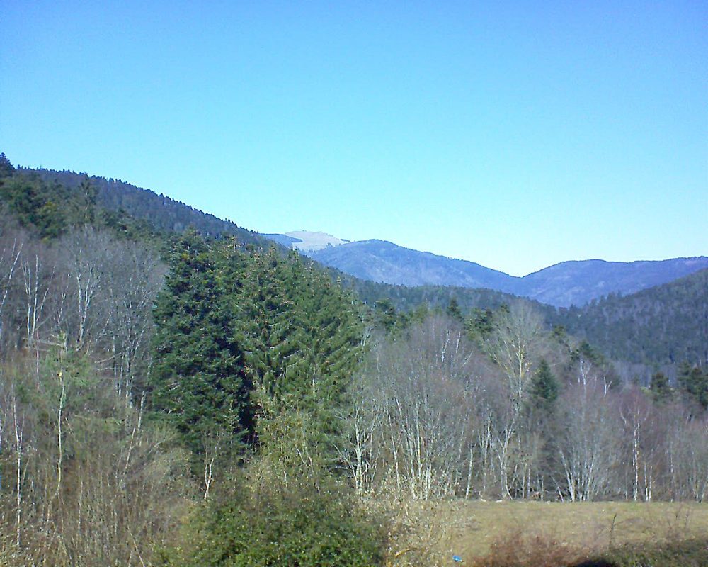 Le petit ballon vu depuis le Domaine Langmatt à Murbach le 21.02.2021 à 12:45 Le petit ballon (Alsace, Vosges) le 21.02.2021 à 12:45