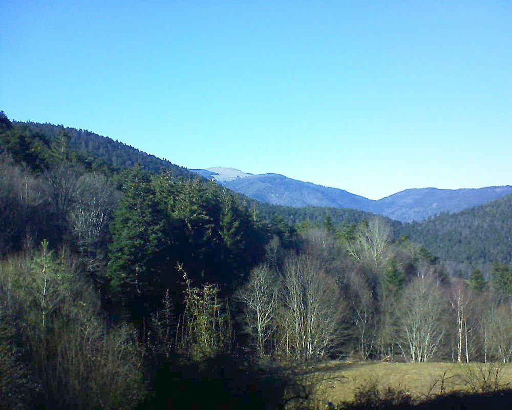 Le petit ballon vu depuis le Domaine Langmatt à Murbach le 21.02.2021 à 15:30 Le petit ballon (Alsace, Vosges) le 21.02.2021 à 15:30