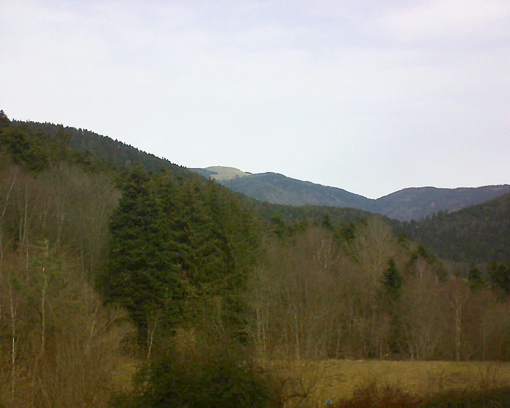 Le petit ballon vu depuis le Domaine Langmatt à Murbach le 22.02.2021 à 11:15 Le petit ballon (Alsace, Vosges) le 22.02.2021 à 11:15