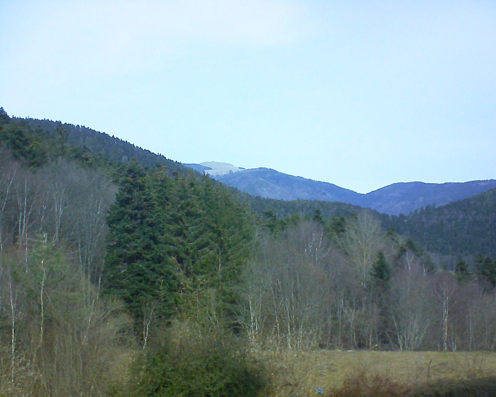 Le petit ballon vu depuis le Domaine Langmatt à Murbach le 22.02.2021 à 12:00 Le petit ballon (Alsace, Vosges) le 22.02.2021 à 12:00