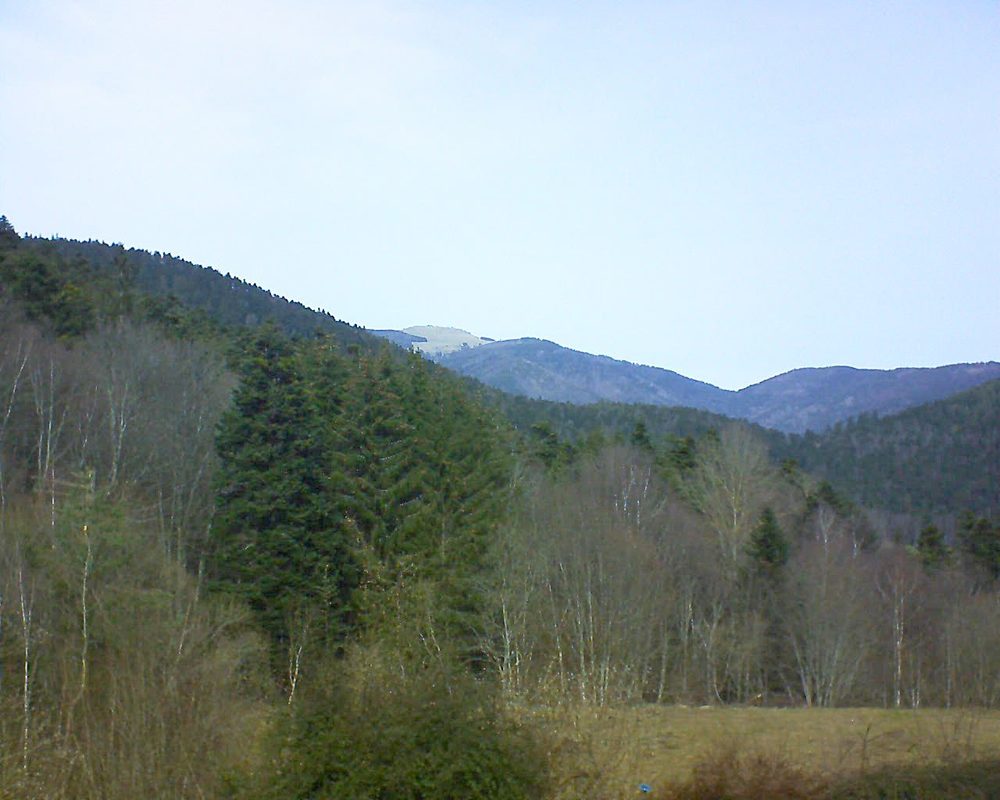 Le petit ballon vu depuis le Domaine Langmatt à Murbach le 22.02.2021 à 12:30 Le petit ballon (Alsace, Vosges) le 22.02.2021 à 12:30