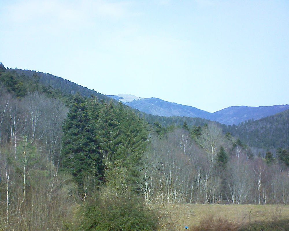 Le petit ballon vu depuis le Domaine Langmatt à Murbach le 22.02.2021 à 12:45 Le petit ballon (Alsace, Vosges) le 22.02.2021 à 12:45