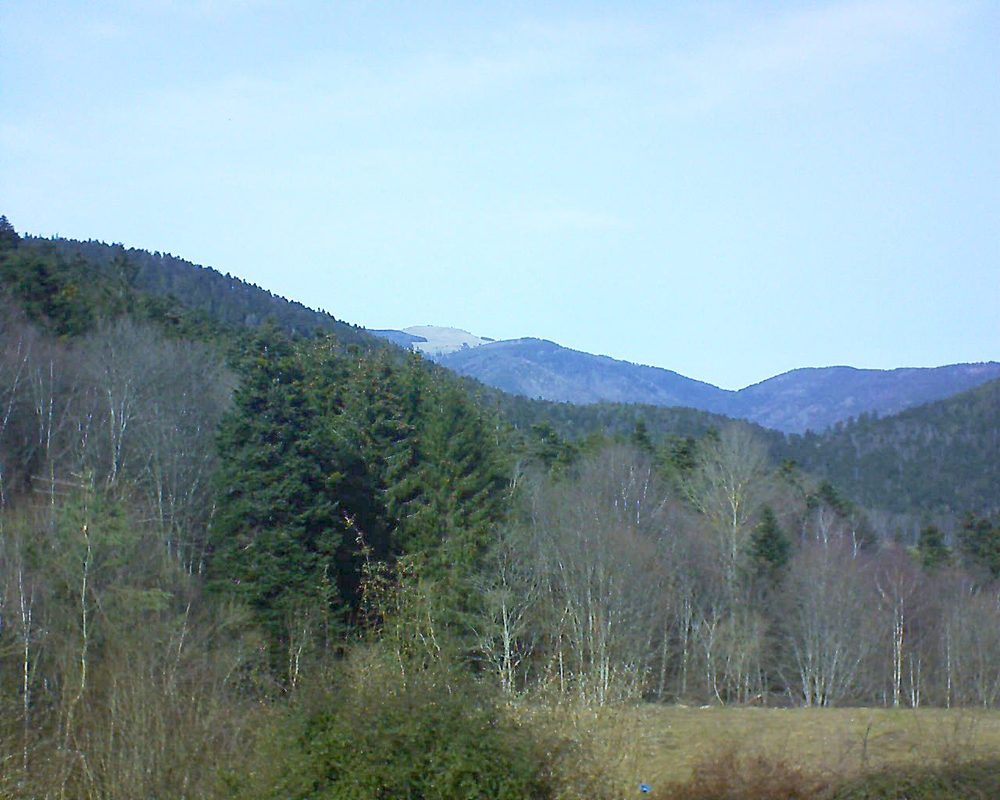 Le petit ballon vu depuis le Domaine Langmatt à Murbach le 22.02.2021 à 13:30 Le petit ballon (Alsace, Vosges) le 22.02.2021 à 13:30