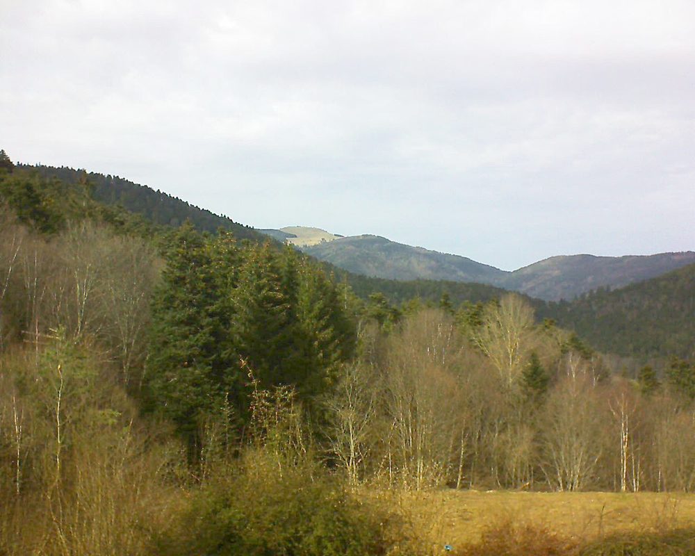Le petit ballon vu depuis le Domaine Langmatt à Murbach le 22.02.2021 à 14:30 Le petit ballon (Alsace, Vosges) le 22.02.2021 à 14:30