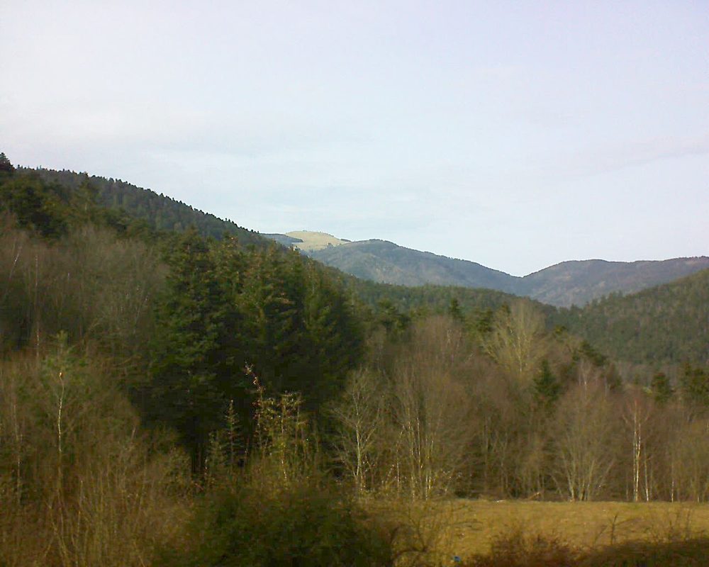 Le petit ballon vu depuis le Domaine Langmatt à Murbach le 22.02.2021 à 15:15 Le petit ballon (Alsace, Vosges) le 22.02.2021 à 15:15