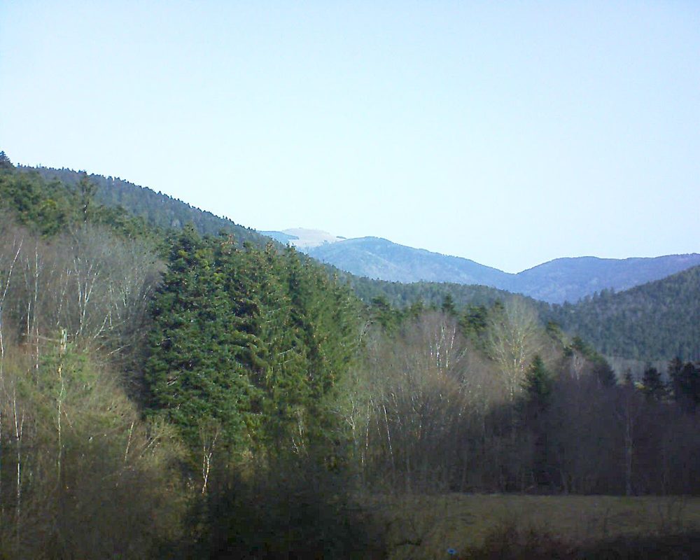 Le petit ballon vu depuis le Domaine Langmatt à Murbach le 23.02.2021 à 10:15 Le petit ballon (Alsace, Vosges) le 23.02.2021 à 10:15