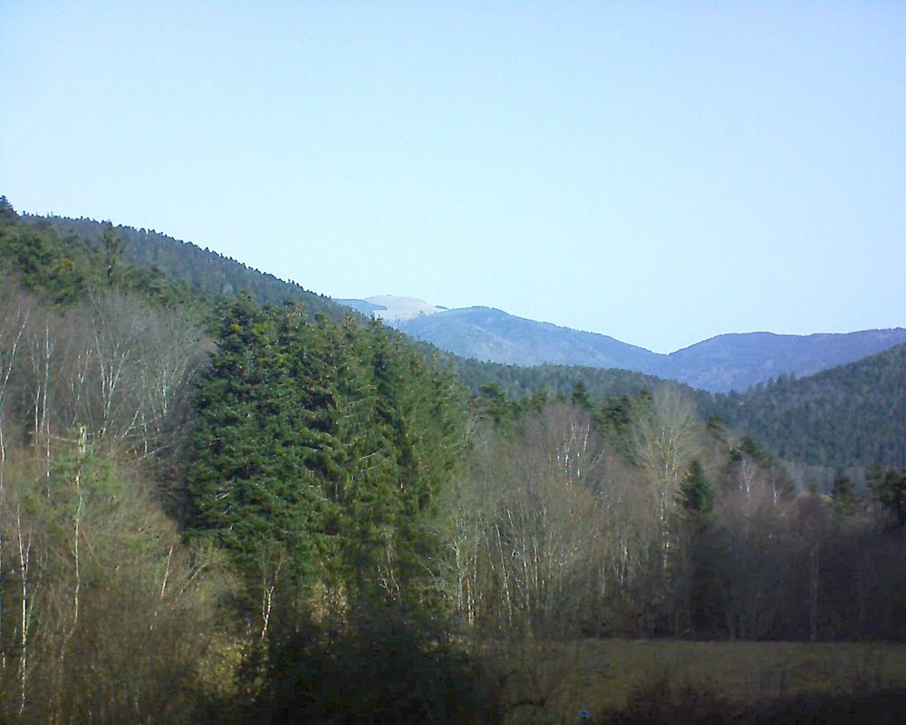 Le petit ballon vu depuis le Domaine Langmatt à Murbach le 23.02.2021 à 10:30 Le petit ballon (Alsace, Vosges) le 23.02.2021 à 10:30