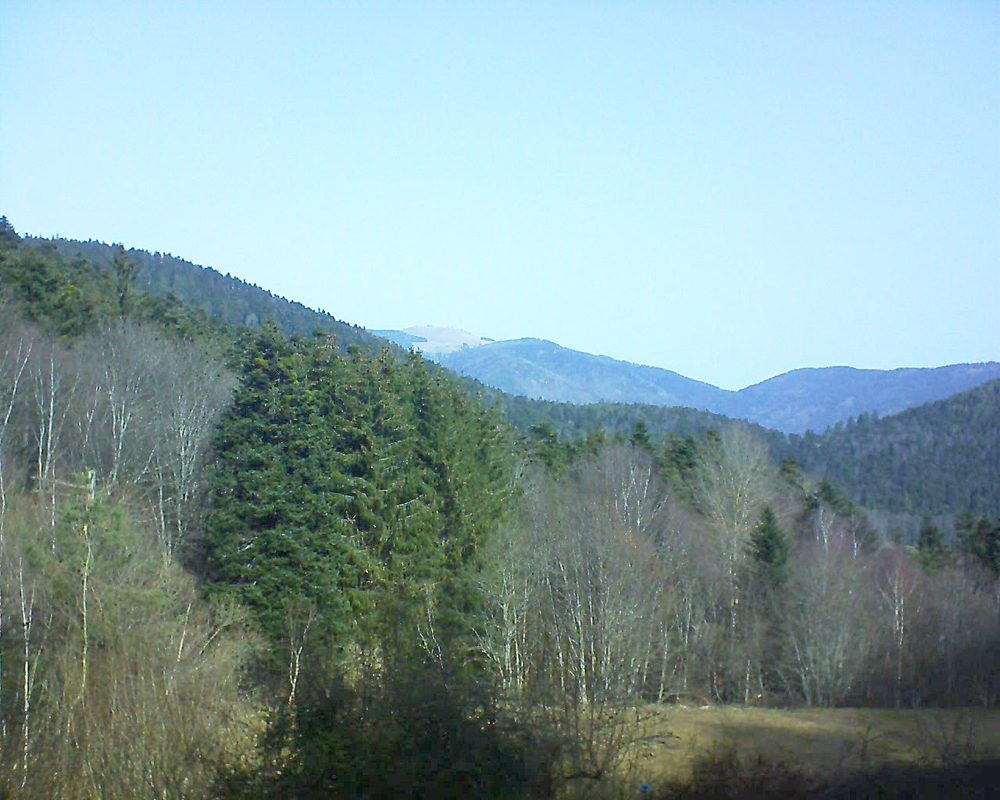 Le petit ballon vu depuis le Domaine Langmatt à Murbach le 23.02.2021 à 11:00 Le petit ballon (Alsace, Vosges) le 23.02.2021 à 11:00