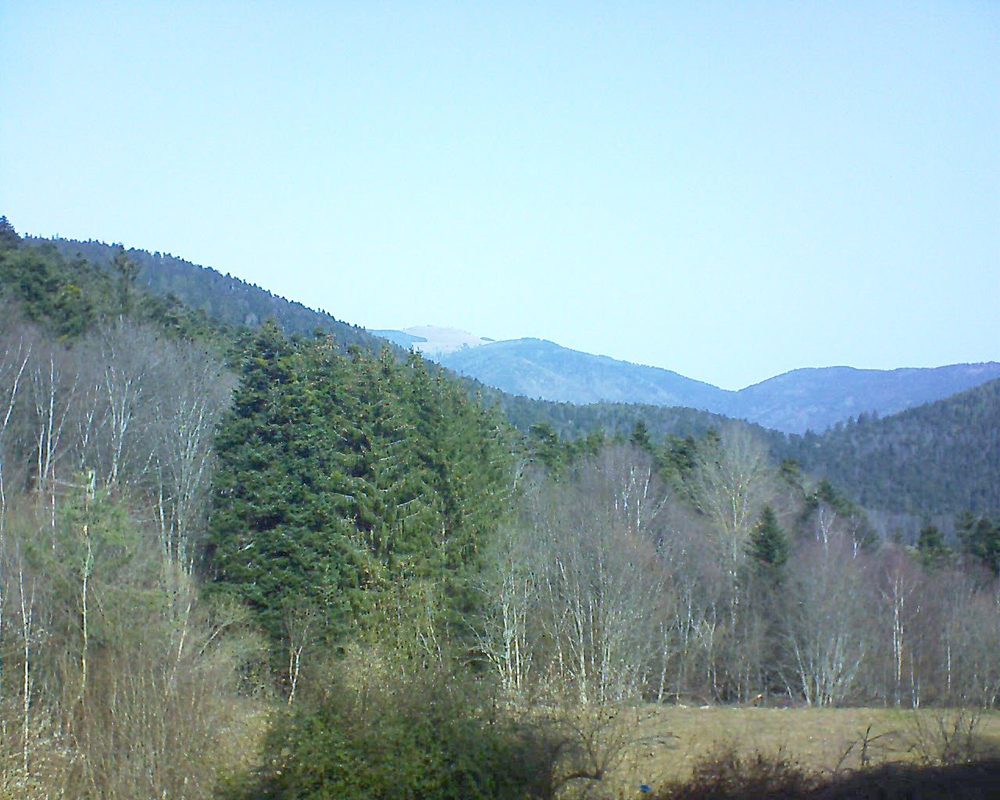 Le petit ballon vu depuis le Domaine Langmatt à Murbach le 23.02.2021 à 11:30 Le petit ballon (Alsace, Vosges) le 23.02.2021 à 11:30