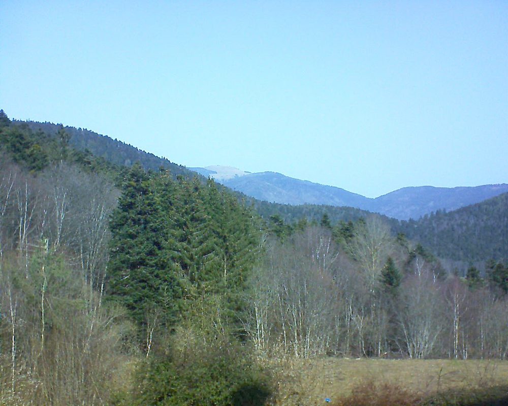 Le petit ballon vu depuis le Domaine Langmatt à Murbach le 23.02.2021 à 12:00 Le petit ballon (Alsace, Vosges) le 23.02.2021 à 12:00