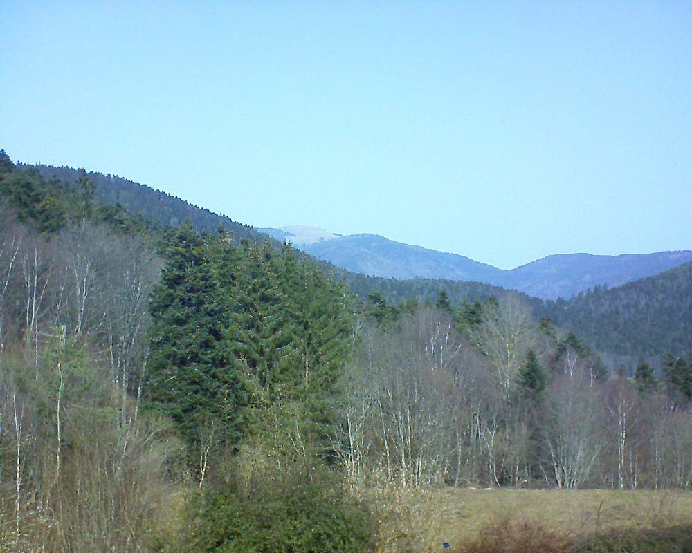 Le petit ballon vu depuis le Domaine Langmatt à Murbach le 23.02.2021 à 12:15 Le petit ballon (Alsace, Vosges) le 23.02.2021 à 12:15