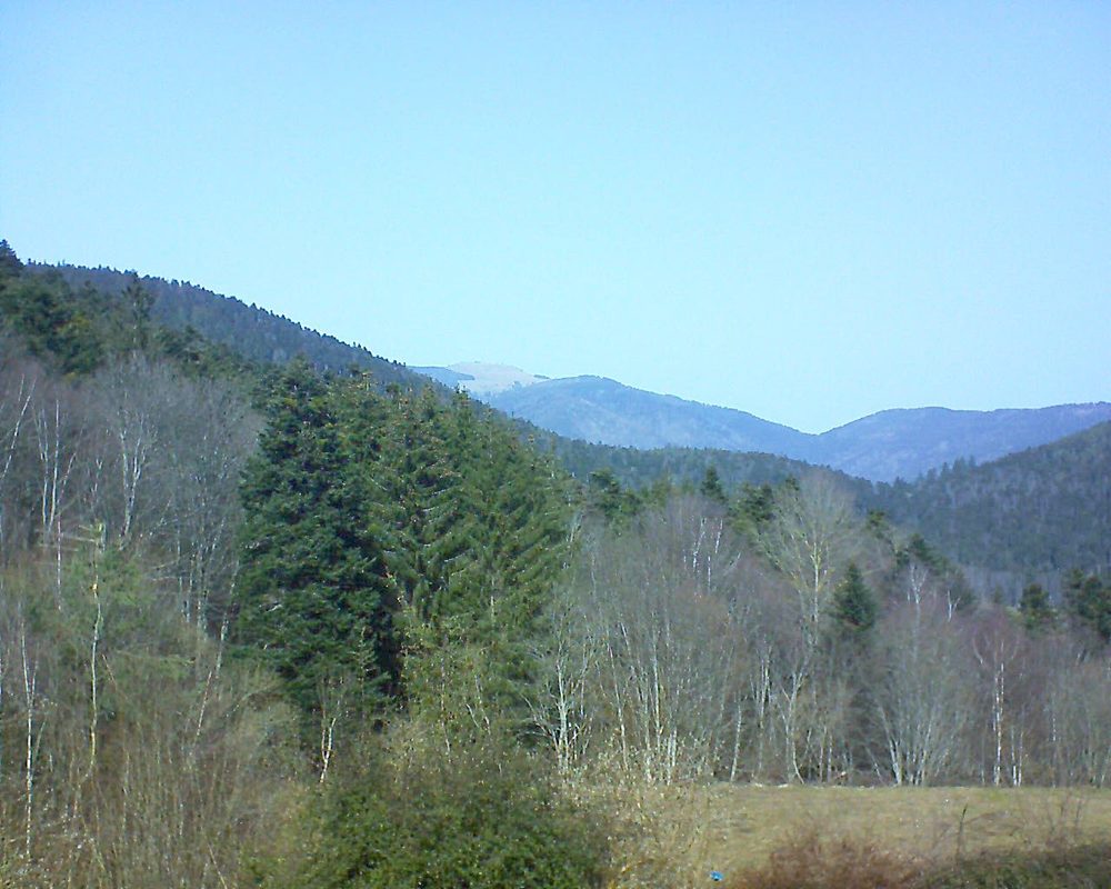 Le petit ballon vu depuis le Domaine Langmatt à Murbach le 23.02.2021 à 12:45 Le petit ballon (Alsace, Vosges) le 23.02.2021 à 12:45