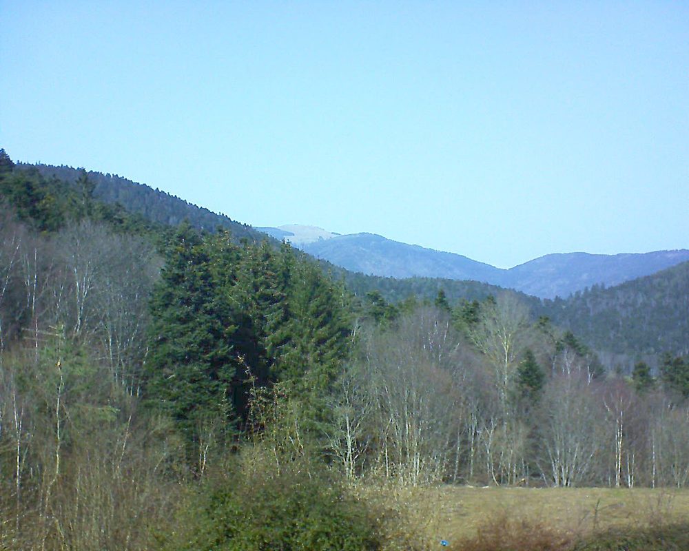 Le petit ballon vu depuis le Domaine Langmatt à Murbach le 23.02.2021 à 13:30 Le petit ballon (Alsace, Vosges) le 23.02.2021 à 13:30