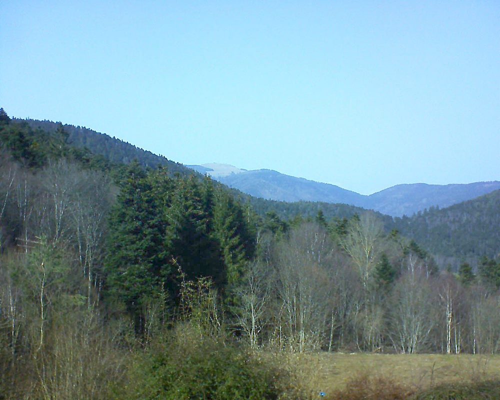 Le petit ballon vu depuis le Domaine Langmatt à Murbach le 23.02.2021 à 14:15 Le petit ballon (Alsace, Vosges) le 23.02.2021 à 14:15