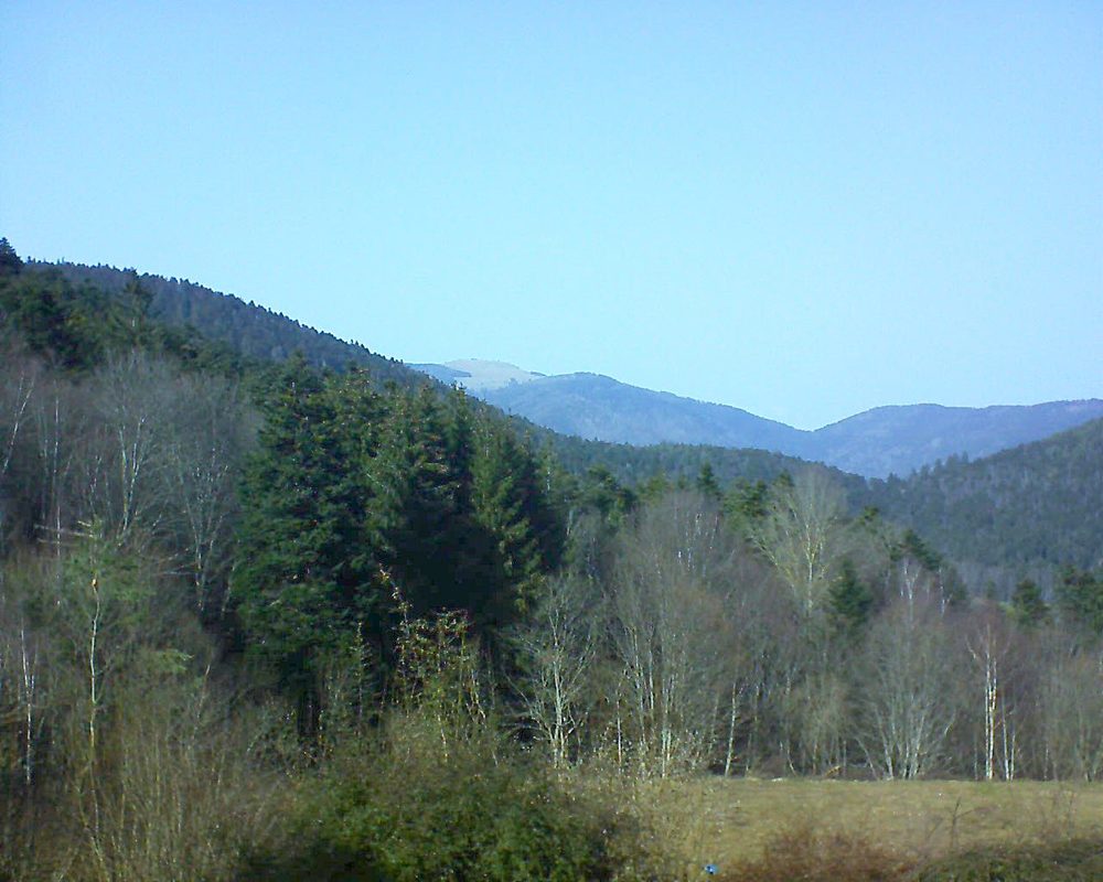 Le petit ballon vu depuis le Domaine Langmatt à Murbach le 23.02.2021 à 14:30 Le petit ballon (Alsace, Vosges) le 23.02.2021 à 14:30