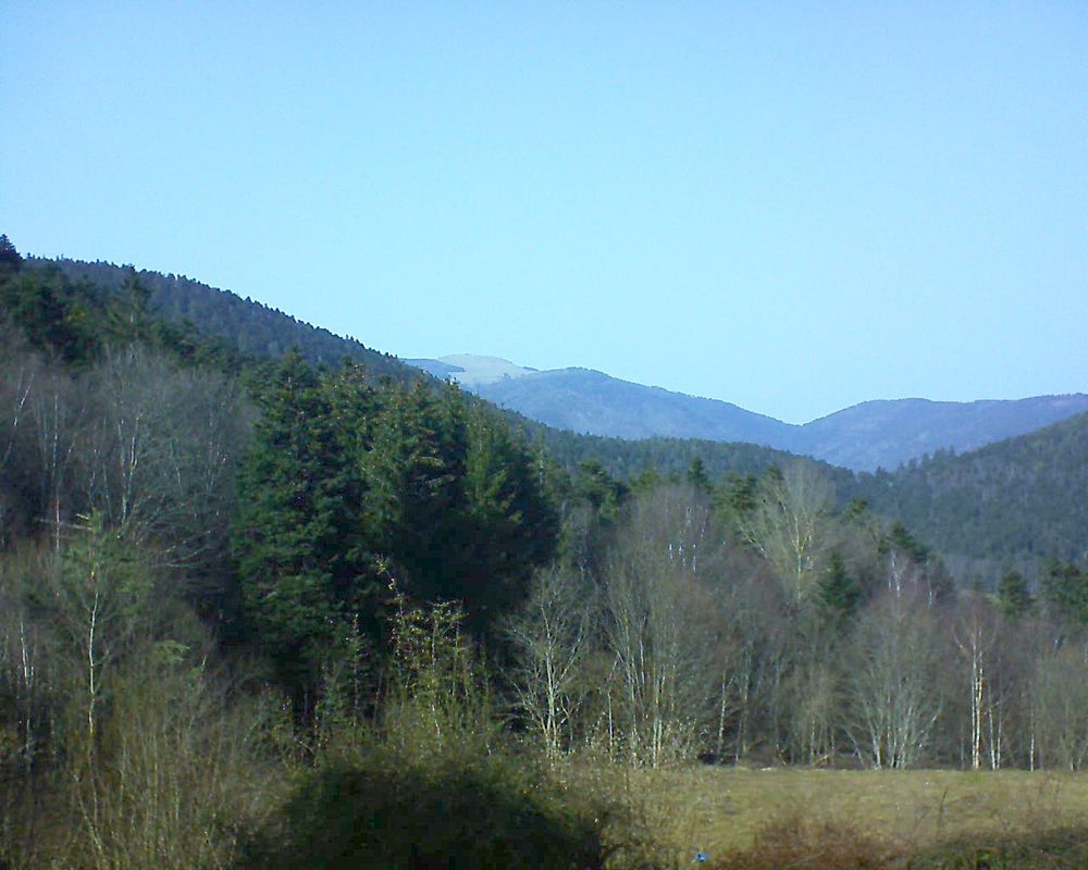 Le petit ballon vu depuis le Domaine Langmatt à Murbach le 23.02.2021 à 14:45 Le petit ballon (Alsace, Vosges) le 23.02.2021 à 14:45