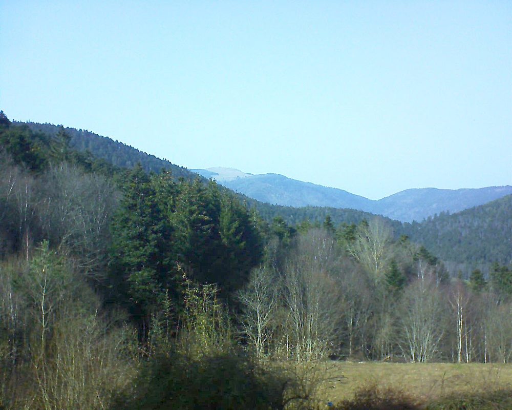 Le petit ballon vu depuis le Domaine Langmatt à Murbach le 23.02.2021 à 15:00 Le petit ballon (Alsace, Vosges) le 23.02.2021 à 15:00