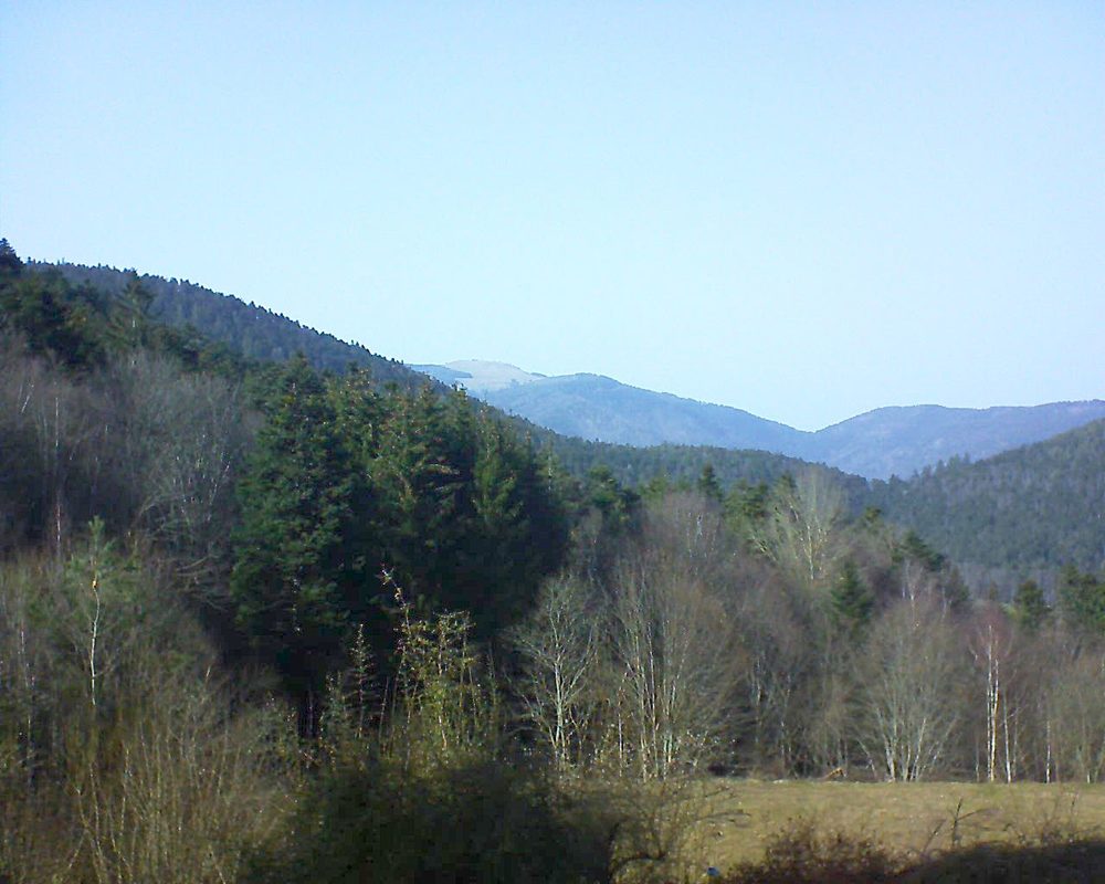 Le petit ballon vu depuis le Domaine Langmatt à Murbach le 23.02.2021 à 15:15 Le petit ballon (Alsace, Vosges) le 23.02.2021 à 15:15