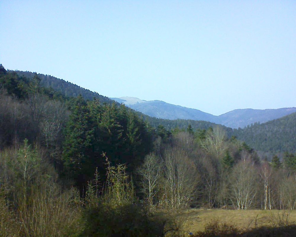 Le petit ballon vu depuis le Domaine Langmatt à Murbach le 23.02.2021 à 15:30 Le petit ballon (Alsace, Vosges) le 23.02.2021 à 15:30