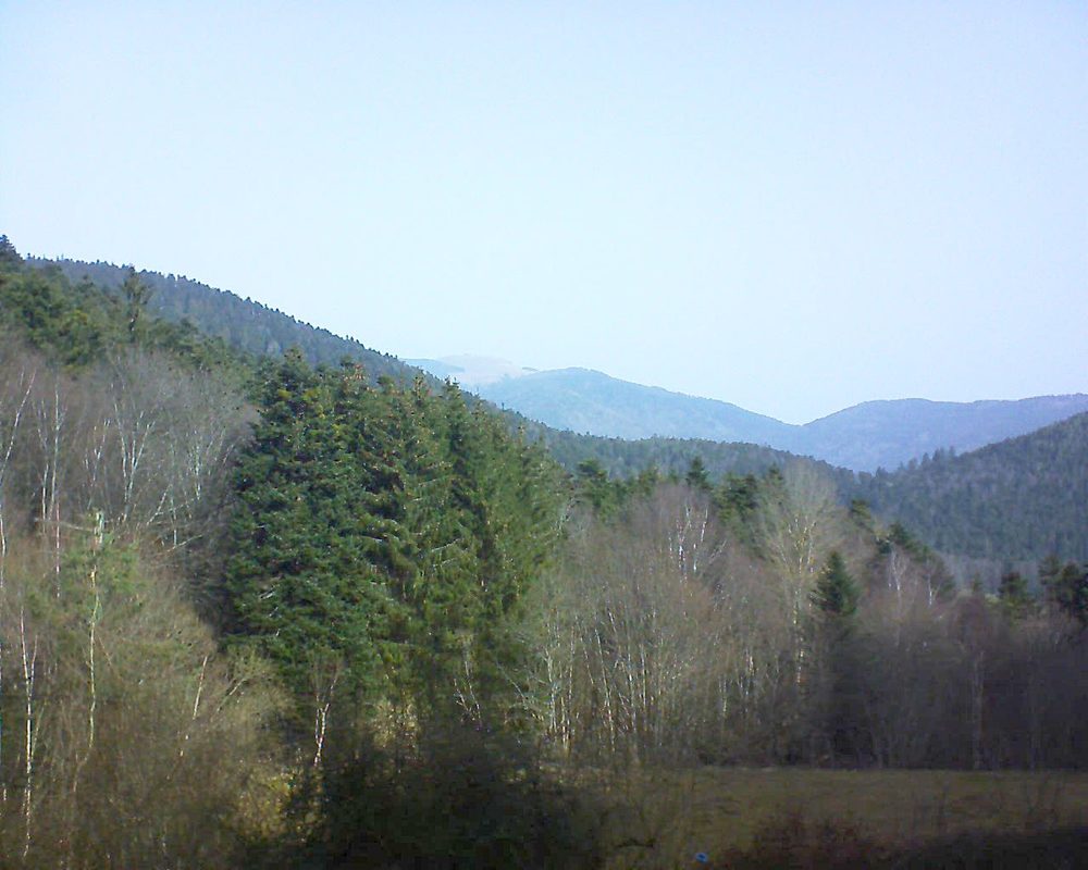 Le petit ballon vu depuis le Domaine Langmatt à Murbach le 24.02.2021 à 10:30 Le petit ballon (Alsace, Vosges) le 24.02.2021 à 10:30