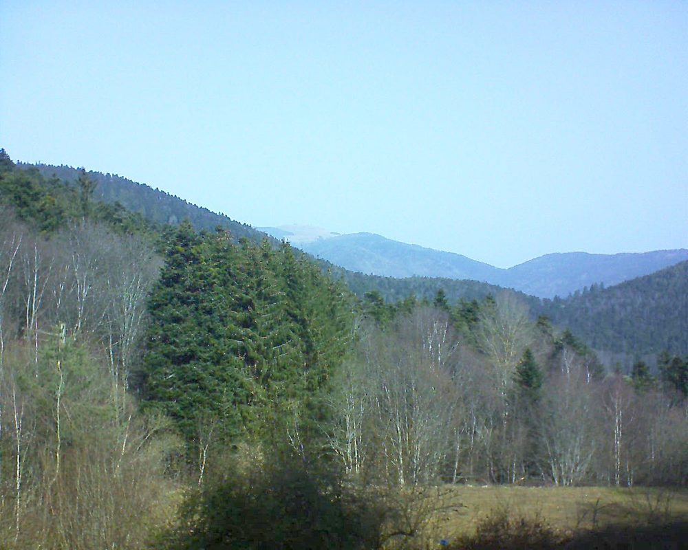 Le petit ballon vu depuis le Domaine Langmatt à Murbach le 24.02.2021 à 11:15 Le petit ballon (Alsace, Vosges) le 24.02.2021 à 11:15