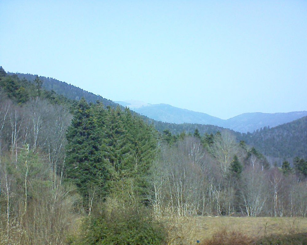 Le petit ballon vu depuis le Domaine Langmatt à Murbach le 24.02.2021 à 12:15 Le petit ballon (Alsace, Vosges) le 24.02.2021 à 12:15