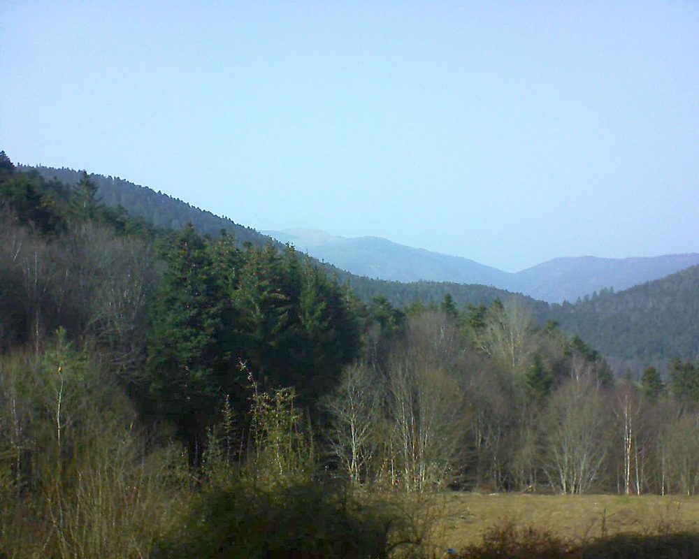 Le petit ballon vu depuis le Domaine Langmatt à Murbach le 24.02.2021 à 15:15 Le petit ballon (Alsace, Vosges) le 24.02.2021 à 15:15