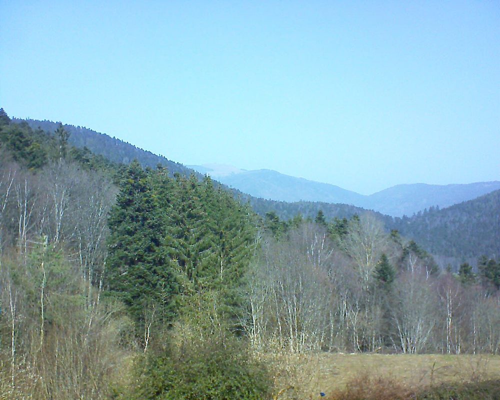 Le petit ballon vu depuis le Domaine Langmatt à Murbach le 25.02.2021 à 12:15 Le petit ballon (Alsace, Vosges) le 25.02.2021 à 12:15