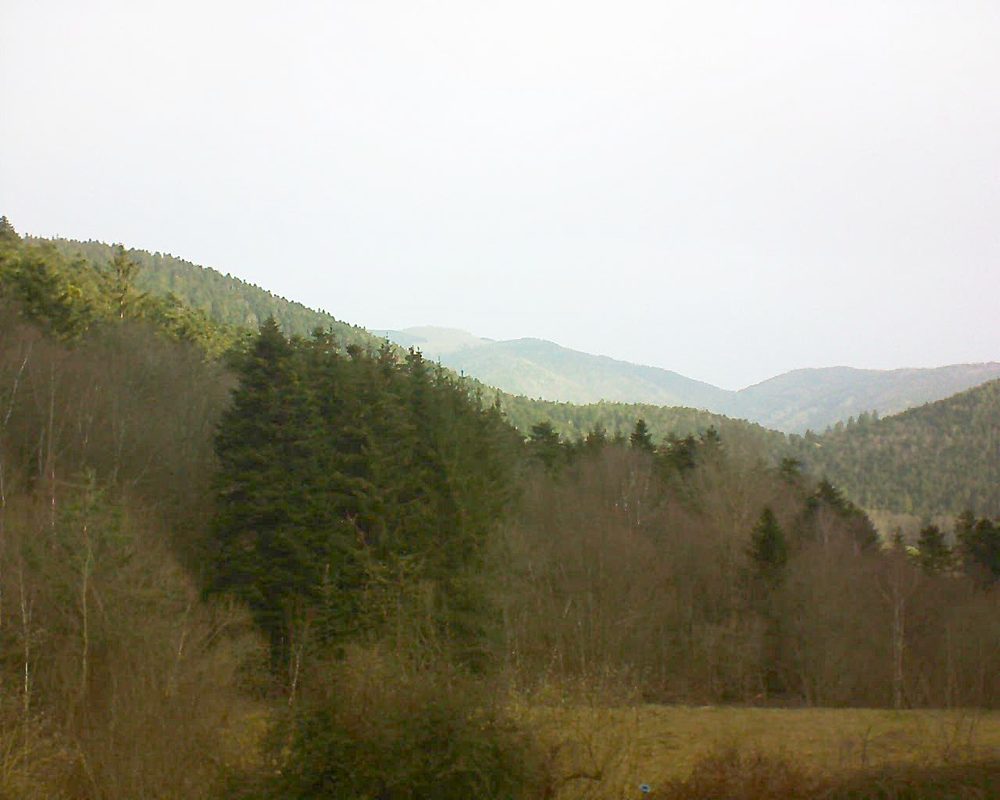 Le petit ballon vu depuis le Domaine Langmatt à Murbach le 26.02.2021 à 09:30 Le petit ballon (Alsace, Vosges) le 26.02.2021 à 09:30