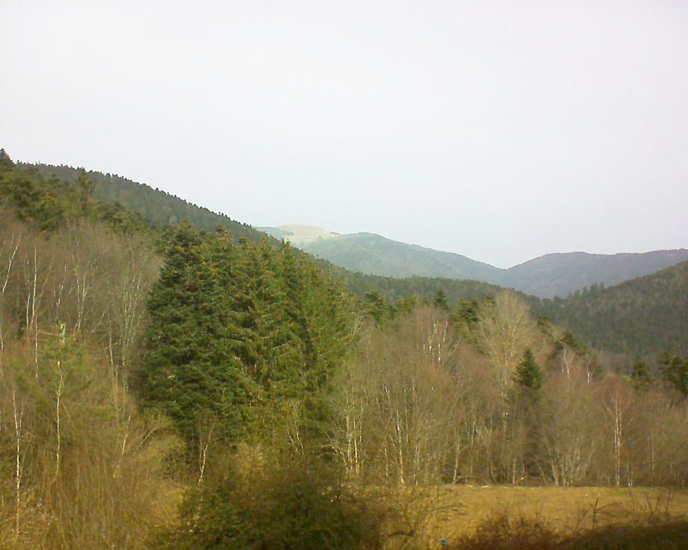 Le petit ballon vu depuis le Domaine Langmatt à Murbach le 26.02.2021 à 11:15 Le petit ballon (Alsace, Vosges) le 26.02.2021 à 11:15