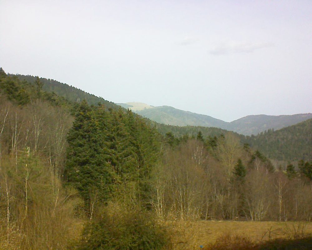 Le petit ballon vu depuis le Domaine Langmatt à Murbach le 26.02.2021 à 11:30 Le petit ballon (Alsace, Vosges) le 26.02.2021 à 11:30
