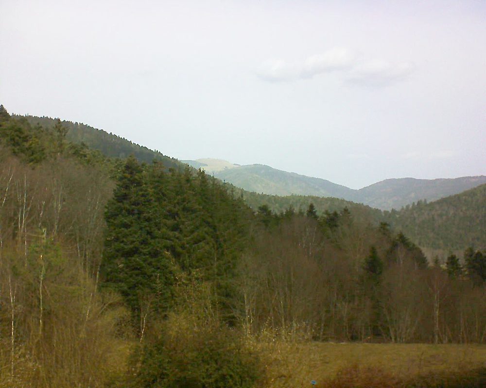 Le petit ballon vu depuis le Domaine Langmatt à Murbach le 26.02.2021 à 11:45 Le petit ballon (Alsace, Vosges) le 26.02.2021 à 11:45
