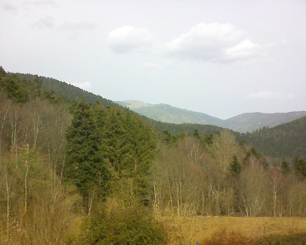 Le petit ballon vu depuis le Domaine Langmatt à Murbach le 26.02.2021 à 12:15 Le petit ballon (Alsace, Vosges) le 26.02.2021 à 12:15