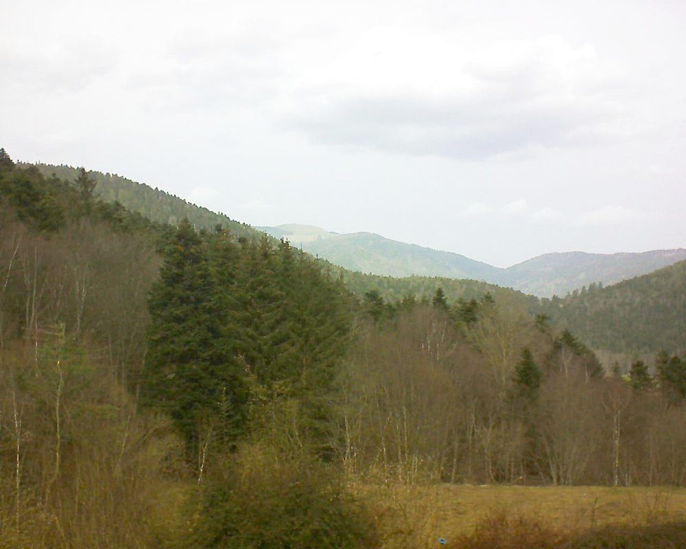 Le petit ballon vu depuis le Domaine Langmatt à Murbach le 26.02.2021 à 12:30 Le petit ballon (Alsace, Vosges) le 26.02.2021 à 12:30