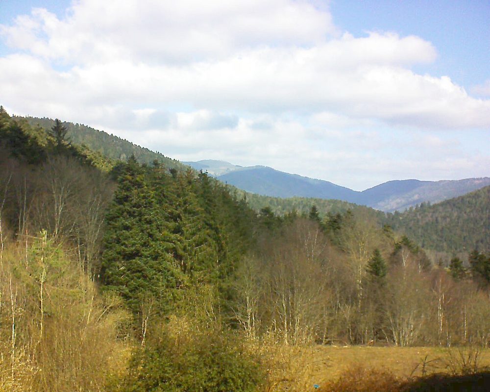 Le petit ballon vu depuis le Domaine Langmatt à Murbach le 27.02.2021 à 11:30 Le petit ballon (Alsace, Vosges) le 27.02.2021 à 11:30