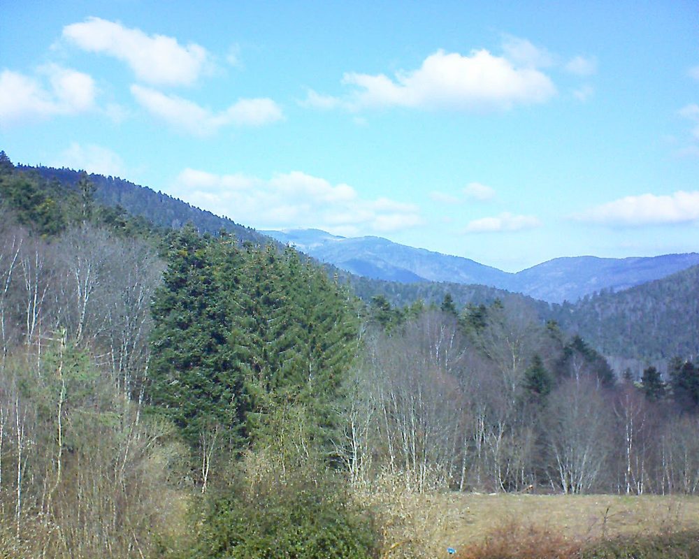 Le petit ballon vu depuis le Domaine Langmatt à Murbach le 27.02.2021 à 12:30 Le petit ballon (Alsace, Vosges) le 27.02.2021 à 12:30