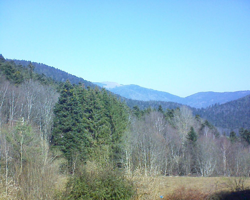 Le petit ballon vu depuis le Domaine Langmatt à Murbach le 01.03.2021 à 11:30 Le petit ballon (Alsace, Vosges) le 01.03.2021 à 11:30