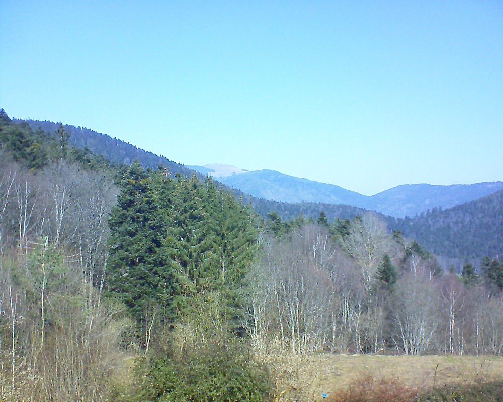 Le petit ballon vu depuis le Domaine Langmatt à Murbach le 01.03.2021 à 12:15 Le petit ballon (Alsace, Vosges) le 01.03.2021 à 12:15