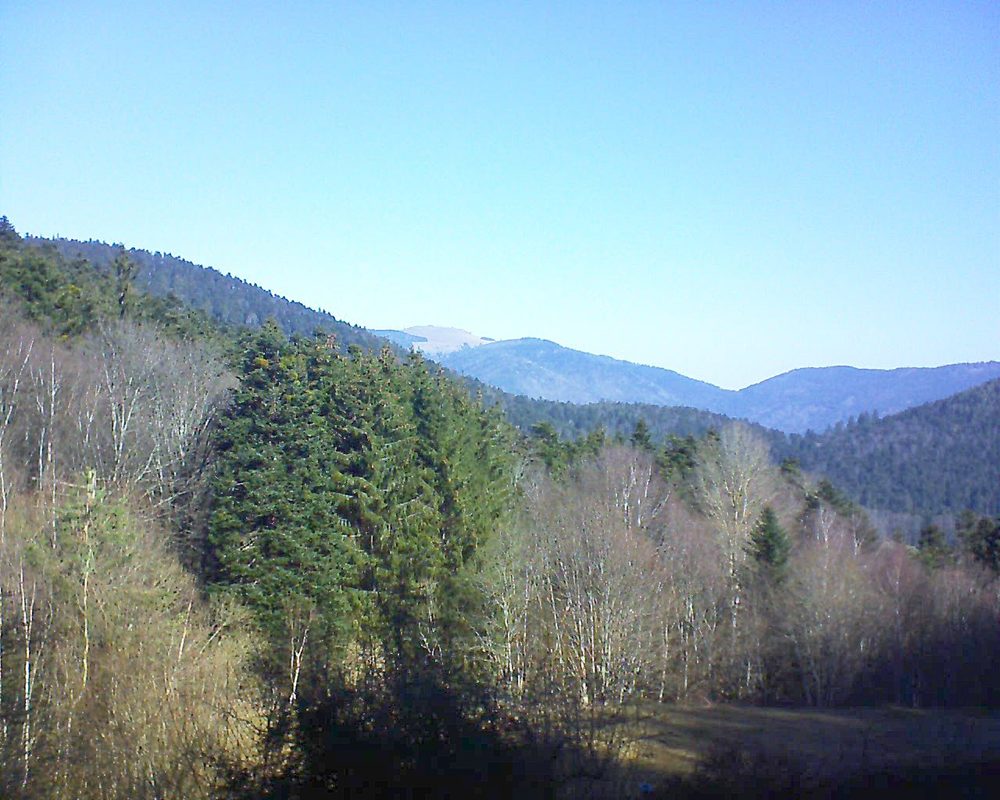 Le petit ballon vu depuis le Domaine Langmatt à Murbach le 02.03.2021 à 10:30 Le petit ballon (Alsace, Vosges) le 02.03.2021 à 10:30