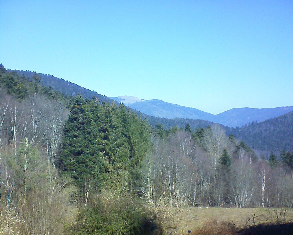 Le petit ballon vu depuis le Domaine Langmatt à Murbach le 02.03.2021 à 11:15 Le petit ballon (Alsace, Vosges) le 02.03.2021 à 11:15