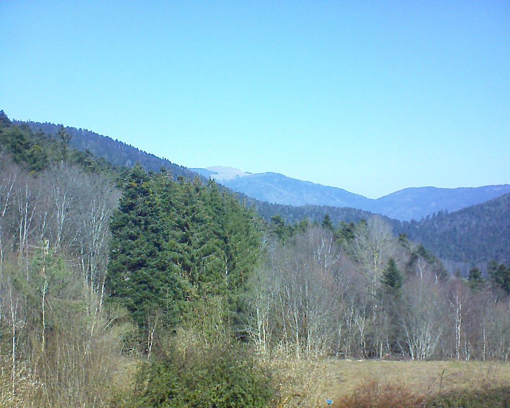 Le petit ballon vu depuis le Domaine Langmatt à Murbach le 02.03.2021 à 11:45 Le petit ballon (Alsace, Vosges) le 02.03.2021 à 11:45