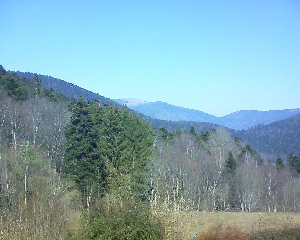 Le petit ballon vu depuis le Domaine Langmatt à Murbach le 02.03.2021 à 12:30 Le petit ballon (Alsace, Vosges) le 02.03.2021 à 12:30