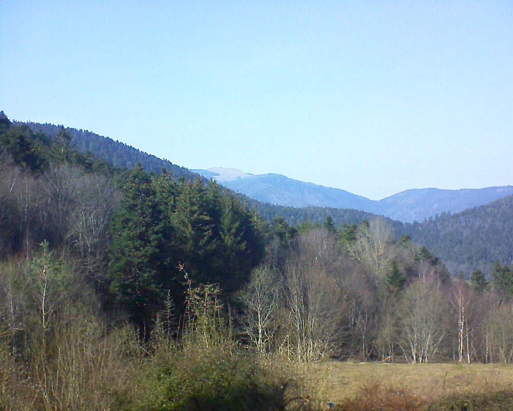 Le petit ballon vu depuis le Domaine Langmatt à Murbach le 02.03.2021 à 15:15 Le petit ballon (Alsace, Vosges) le 02.03.2021 à 15:15