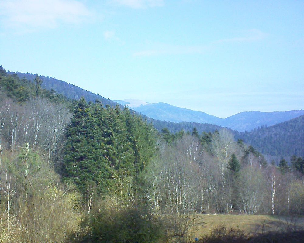 Le petit ballon vu depuis le Domaine Langmatt à Murbach le 08.03.2021 à 10:45 Le petit ballon (Alsace, Vosges) le 08.03.2021 à 10:45