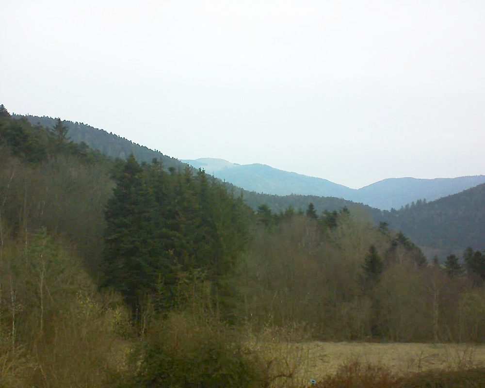 Le petit ballon vu depuis le Domaine Langmatt à Murbach le 09.03.2021 à 07:45 Le petit ballon (Alsace, Vosges) le 09.03.2021 à 07:45
