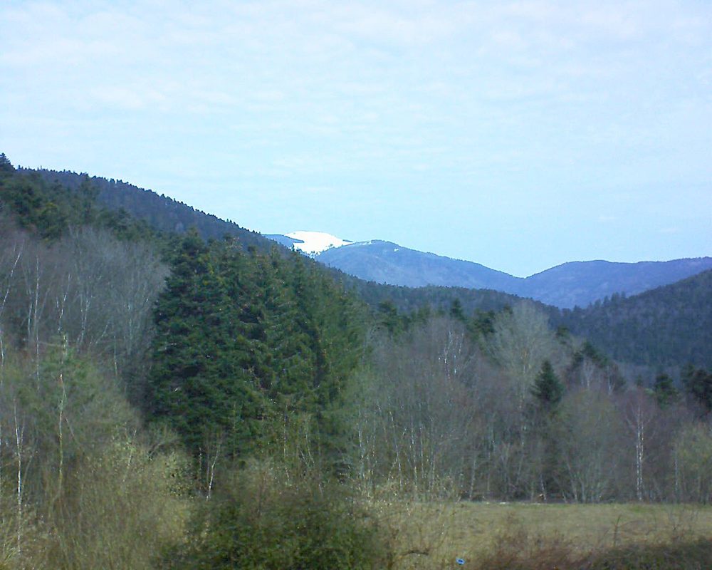 Le petit ballon vu depuis le Domaine Langmatt à Murbach le 25.03.2021 à 10:45 Le petit ballon (Alsace, Vosges) le 25.03.2021 à 10:45