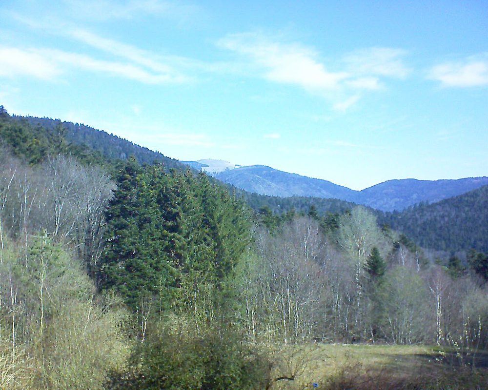 Le petit ballon vu depuis le Domaine Langmatt à Murbach le 01.04.2021 à 10:45 Le petit ballon (Alsace, Vosges) le 01.04.2021 à 10:45