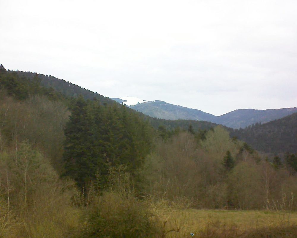Le petit ballon vu depuis le Domaine Langmatt à Murbach le 08.04.2021 à 09:45 Le petit ballon (Alsace, Vosges) le 08.04.2021 à 09:45