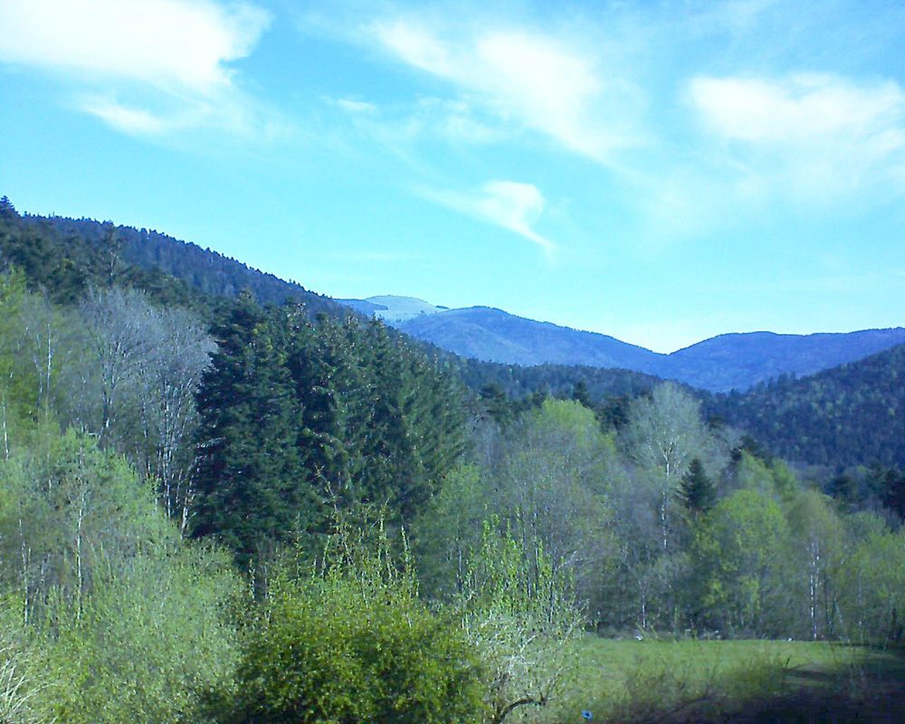 Le petit ballon vu depuis le Domaine Langmatt à Murbach le 08.05.2021 à 09:30 Le petit ballon (Alsace, Vosges) le 08.05.2021 à 09:30
