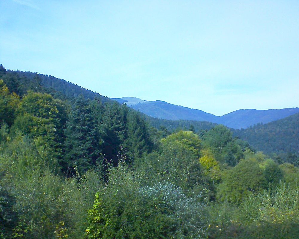 Le petit ballon vu depuis le Domaine Langmatt à Murbach le 18.10.2021 à 14:30 Le petit ballon (Alsace, Vosges) le 18.10.2021 à 14:30